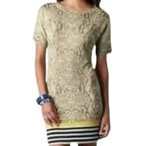 Ann Taylor Loft Snake Skin Print, Merino Wool Dress Size S‎ - Picture 1 of 8
